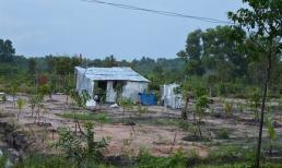 Từ nay, xây nhà tạm trên đất nông nghiệp có vi phạm Luật Đất đai?