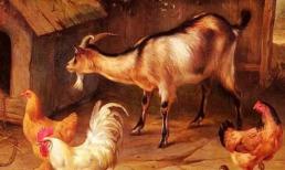 “Đàn ông sợ người tuổi Dậu, phụ nữ sợ người tuổi Mùi” Tại sao vậy? 