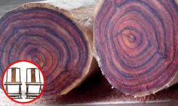 Bộ ghế 370 năm tuổi làm từ loại gỗ 'vàng lộ thiên' vô cùng quý hiếm, giá lên đến gần 171 tỷ đồng