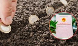 Kể từ nay: Có 3 trường hợp khi làm sổ đỏ sẽ không phải nộp tiền sử dụng đất