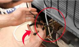 Tiền điện giảm 'vù vù' nhờ vệ sinh bộ phận này phía sau tủ lạnh, hiệu quả bất ngờ, ai cũng làm được