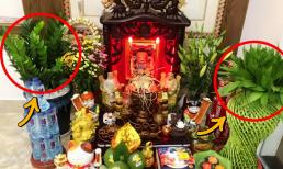 5 loại cây cảnh 'đậm chất phú quý', đặt trên bàn thờ gọi lộc vào nhà, làm 1 hưởng 10