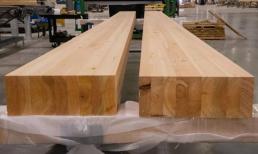 Việt Nam phát hiện loại gỗ được xem như 'ngôi sao xanh' thay thế bê tông, có khả năng bẻ cong tốt hơn gỗ thường 80%