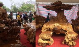 Bộ kỳ mộc 'Tứ linh quần tụ' ở Việt Nam làm từ loại gỗ quý hiếm tuổi đời hàng nghìn năm, được định giá 3,5 tỷ đồng