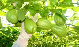 Nếu phụ nữ không muốn tử cung “bẩn”, hãy ăn nhiều hơn 4 loại thực phẩm này để đào thải độc tố và nuôi dưỡng tử cung 