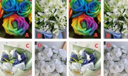 Trắc nghiệm tâm lý: Bạn thích bó hoa nào trong bốn bó hoa? Kiểm tra tính khí của bạn