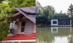 Vì sao người xưa kiêng kỵ 'cây lớn trước nhà, ao sau nhà, ruộng lúa trước cửa'?