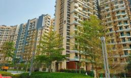 Khi mua nhà hãy tránh xa 6 nơi, làm được như thế thì xin chúc mừng, bạn đã có một môi trường sống thoải mái, chất lượng không khí tốt và tiềm năng tăng giá lớn