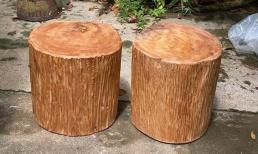 Việt Nam tìm thấy loại gỗ được mệnh danh 'ngọc của núi' quý như kim cương, giá lên đến gần 50 tỷ đồng mỗi khúc