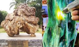 Loại gỗ hóa ngọc cứng gần như kim cương, có giá lên tới hơn 600 tỷ đồng ở Việt Nam