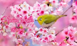 Tiết Xuân Phân năm 2025 bắt đầu từ ngày 20/3, nên làm gì để cầu tài lộc, phúc đức?