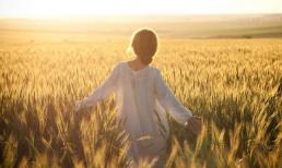 Chỉ cần bạn giữ cho 8 từ trường này sạch sẽ, bạn sẽ ngày càng tốt hơn 