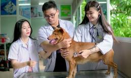 Ngành có học phí chỉ 11 triệu đồng/năm, ra trường đi làm có thể kiếm 100 triệu đồng mỗi tháng