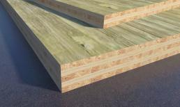 Việt Nam phát hiện loại gỗ siêu cứng cáp, có thể thay thế bê tông trong tương lai, chịu được cả bão gió giật cấp 13