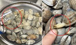 Khi rửa ngao, sử dụng dầu và muối là sai! Hướng dẫn bạn mẹo để ngao nhả cát ra nhanh và sạch 