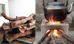 2 cây gỗ 'báu vật' có giá lên đến 50 tỷ đồng, nhiều người tiếc hùi hụi vì từng dùng làm củi đốt