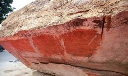 Cận cảnh khúc gỗ siêu quý hiếm có niên đại 5.000 năm tại Việt Nam: Giá 10 tỷ đồng, được mệnh danh là 'vàng của núi rừng'