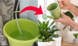 Nước chảy ra từ điều hòa tưởng là vô dụng, nhưng thực ra lại có nhiều công dụng giá trị khiến bạn bất ngờ