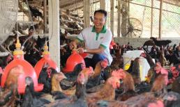 Làm giàu từ nông nghiệp: Nuôi con vật hiền lành ham ăn, anh nông dân thu lãi đậm 2,4 tỷ đồng/năm