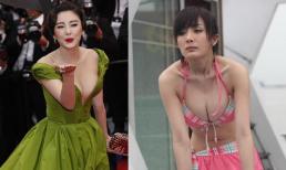 5 nữ diễn viên có 'ngực đỉnh'! Toàn cực phẩm hấp dẫn, Dương Mịch ngậm ngùi đứng cuối bảng xếp hạng