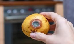Bác sĩ khuyến cáo: Không nên để 5 loại thực phẩm này trong tủ lạnh vì chúng dễ sinh ra chất aflatoxin gây ung thư