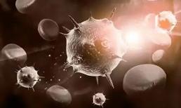 Mọi người đều sợ ung thư, nhưng tế bào ung thư sợ nhất là 4 loại thực phẩm này! Ăn một ít mỗi ngày, ung thư sẽ tránh xa