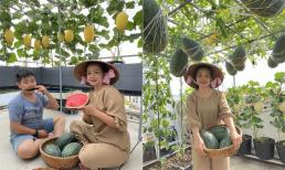 Mẹ đảm biến sân thượng 80 m2 thành vườn dưa sai trĩu, quả chín 'nằm vắt vẻo trên võng'