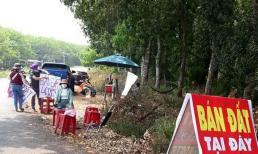 Sáp nhập tỉnh thành: Đầu tư đất nền ở đâu, cần lưu ý gì để tránh rủi ro? 