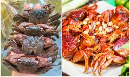 Đây là con đặc sản nổi tiếng, nghe tên thấy mắc cười, nơi trú ngụ tuyệt vời là một tỉnh mới sau sáp nhập 