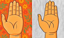 Ai có đường chỉ tay này, không sớm thì muộn cũng thành đạt, giàu sang phú quý 