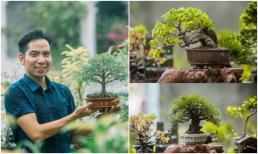 Nhặt cây mọc dại ven đường làm thành bonsai độc lạ, chàng trai Hà Nội mỗi tháng thu tiền khủng lên đến 30 triệu đồng
