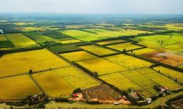 Đất nông nghiệp bao gồm các loại đất nào? Chuyển đất nông nghiệp sang đất ở cần điều kiện gì?