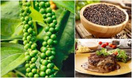 Loại nông sản xuất khẩu sang Mỹ thu về hơn 10.000 tỷ/năm là vị thuốc quý, bị người Việt lãng quên, thậm chí dùng ít hơn cả mì chính 