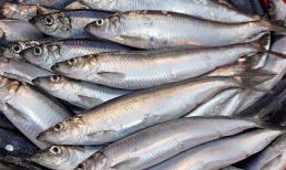 5 loại cá giàu omega-3 lại ngọt thịt, ít xương dăm: Đi chợ gặp được phải mua luôn