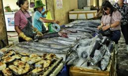 Loại cá giàu omega-3 nhất thế giới hơn cả cá hồi, chợ Việt Nam bán rất nhiều