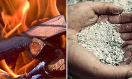 Đốt cháy 1 cân gỗ chỉ còn lại chưa đến 1 lạng tro, 9 lạng vật liệu còn lại đã đi đâu? 