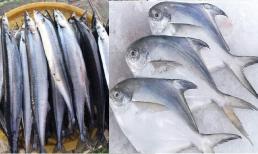  Đi chợ mua cá nên chọn con mình dài hay thân tròn? Tưởng đơn giản nhưng đa số chọn sai