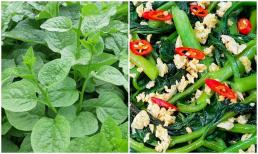 Loại rau giàu canxi hơn sữa, selen gấp 30 lần hành tây, giúp hạ huyết áp, dưỡng xương, rất dễ tìm ngoài chợ