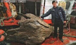 Tìm thấy khối gỗ quý trên biển tỏa hương thơm, người đàn ông sửng sốt khi được chuyên gia định giá 3.500 tỷ đồng