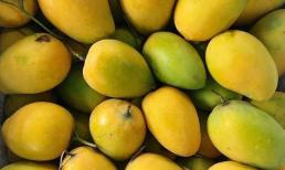 7 loại quả dễ 'tắm' thuốc sâu nhất, không cảnh giác sẽ rước đầy hóa chất vào người