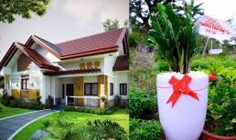 Hãy gửi 5 món quà tặng này cho người chuyển nhà, chúng có ý nghĩa tốt lành và sẽ mang lại sự thịnh vượng cho gia chủ!