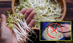 Đi chợ chú ý 6 điểm này, biết ngay giá đỗ sạch và giá đỗ 'ngậm' đầy hóa chất