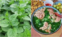 Loại rau bán đầy ngoài chợ, nấu lên nhơn nhớt, bổ ngang nhân sâm, giúp hạ mỡ máu, giảm cân, nhưng nhiều người lại chê không ăn