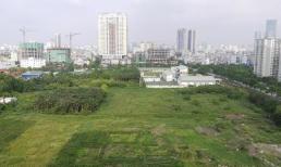 Theo quy định, đất không sử dụng bao nhiêu năm thì bị mất quyền sử dụng?