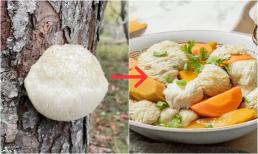 'Thực phẩm của hoàng đế' mọc từ thân cây mục nát, giá vài triệu 1kg, chống bệnh tim mạch và ung thư, thích hợp cho người ăn kiêng