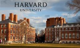 Mỹ ra lệnh cấm với Đại học Harvard, sinh viên nước ngoài lao đao 