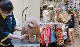 5 lĩnh vực kinh doanh 'mỏ vàng' hứa hẹn bùng nổ trong tương lai, biết trước giàu sớm, cơ hội việc làm không giới hạn