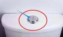 Trên bồn cầu có một nút lớn và một nút nhỏ. Hóa ra là tôi đã nhấn nhầm nút trong suốt những năm qua! Đây là cách sử dụng đúng đắn