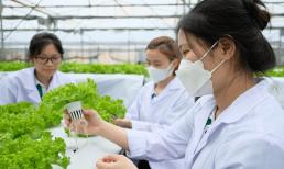 Có 1 ngành học ra trường là có việc, điểm chuẩn không cao, thu nhập có thể đến 30 triệu đồng/tháng