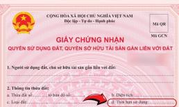 Hướng dẫn cách kiểm tra thời hạn sử dụng đất trên Sổ đỏ mới nhất hiện nay